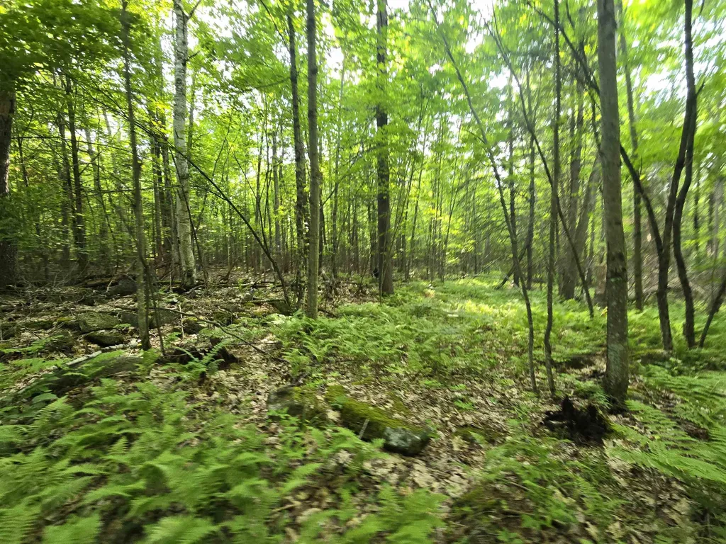 882 Morse Road Haverhill NH 03765