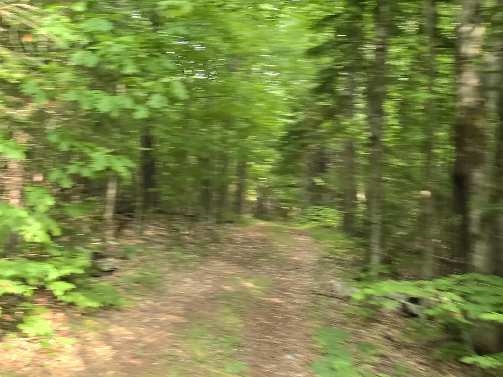 882 Morse Road Haverhill NH 03765