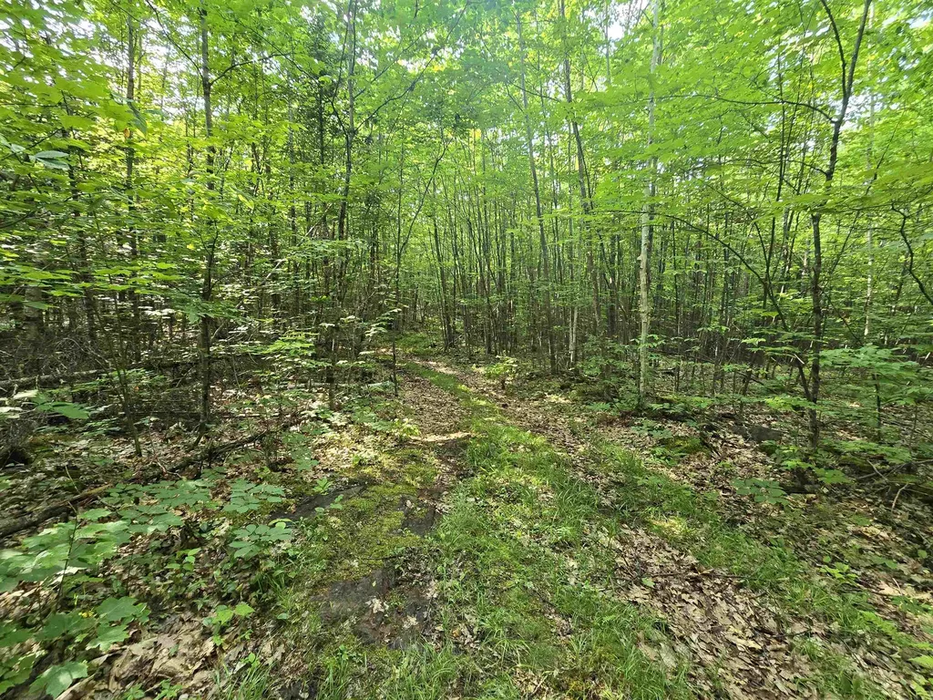 882 Morse Road Haverhill NH 03765