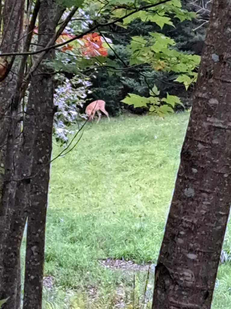 882 Morse Road Haverhill NH 03765