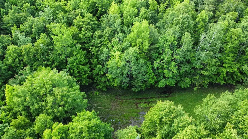 882 Morse Road Haverhill NH 03765