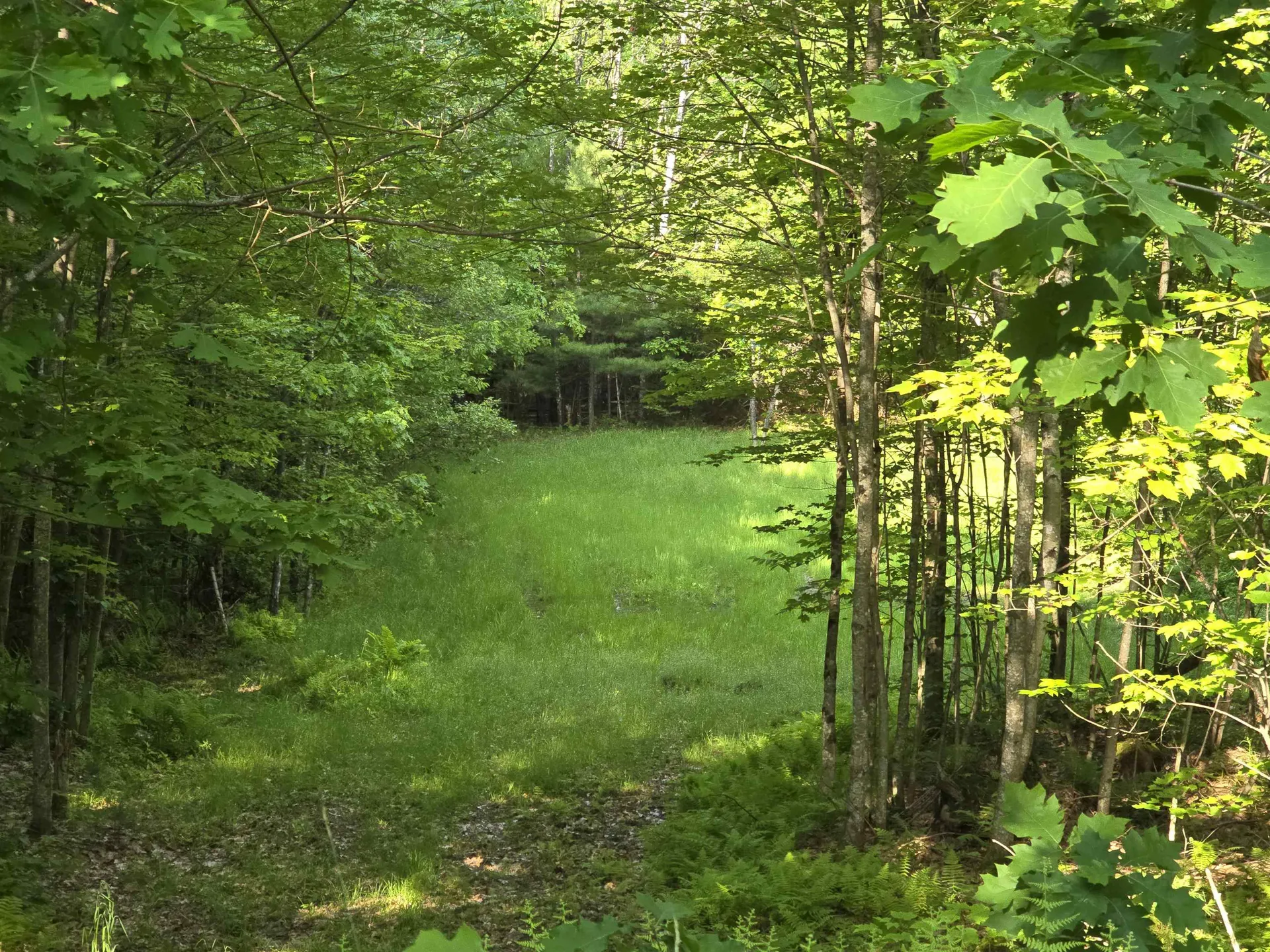 882 Morse Road Haverhill NH 03765