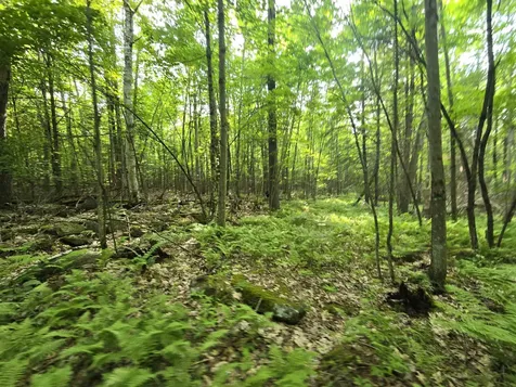 882 Morse Road Haverhill NH 03765