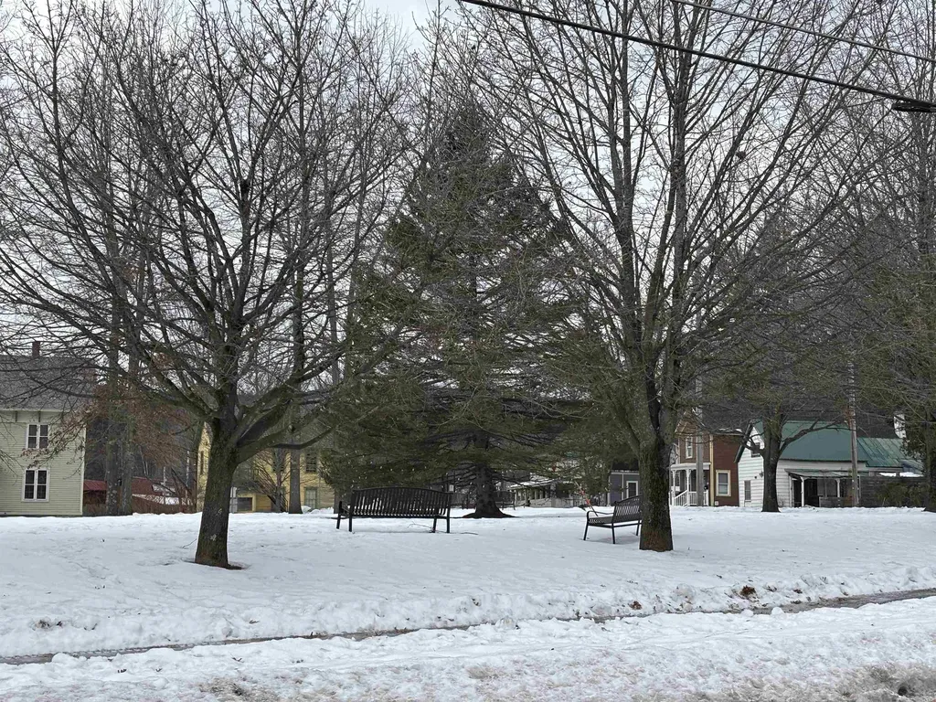 842 Main Street Cavendish VT 05153