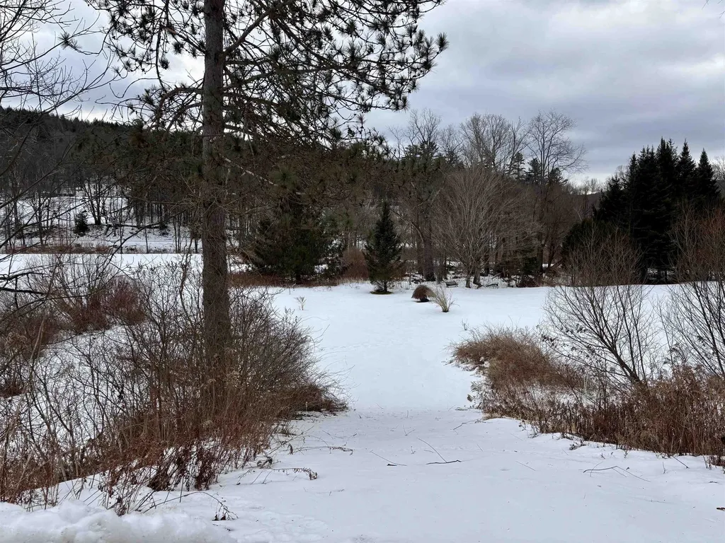 842 Main Street Cavendish VT 05153