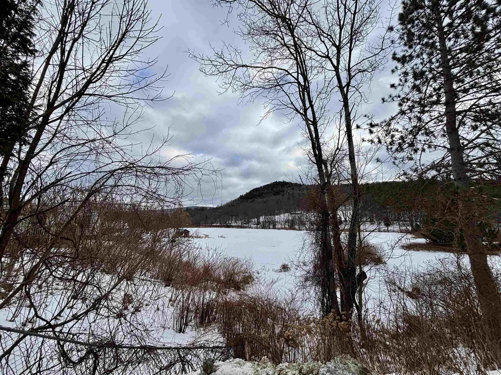 842 Main Street Cavendish VT 05153