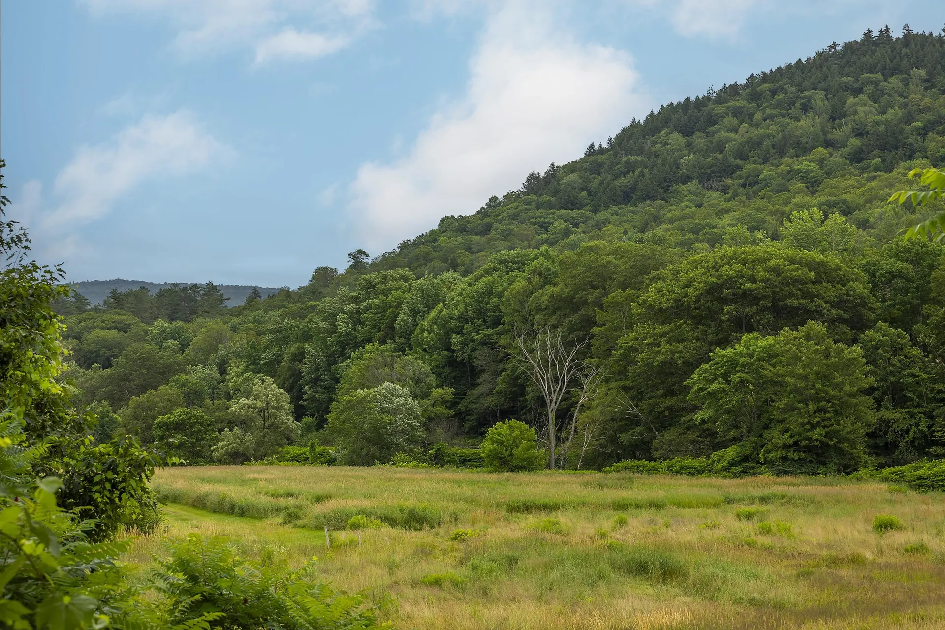 842 Main Street Cavendish VT 05153