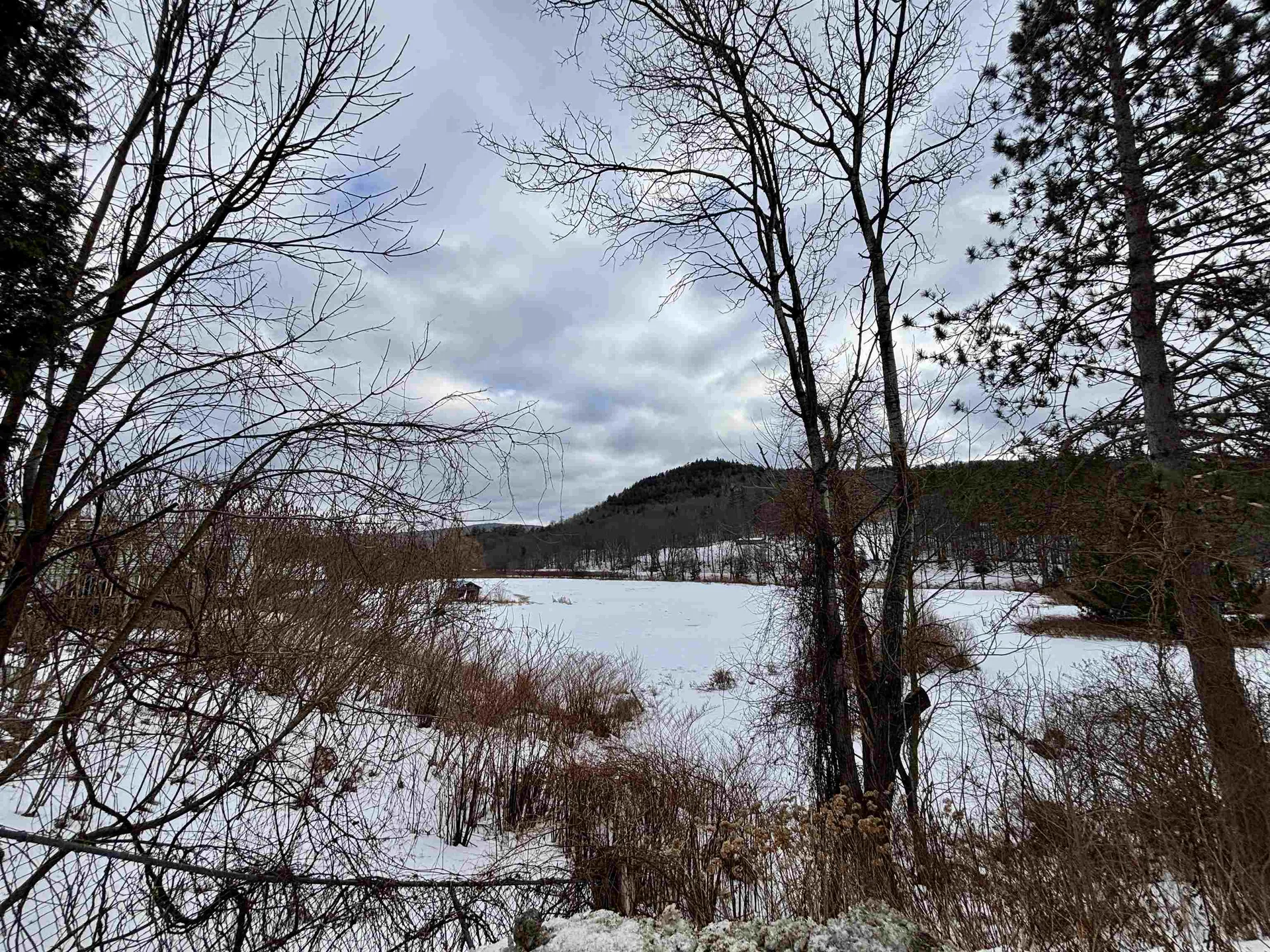 842 Main Street Cavendish VT 05153