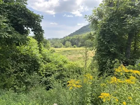 842 Main Street Cavendish VT 05153