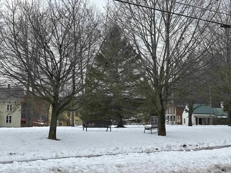 842 Main Street Cavendish VT 05153