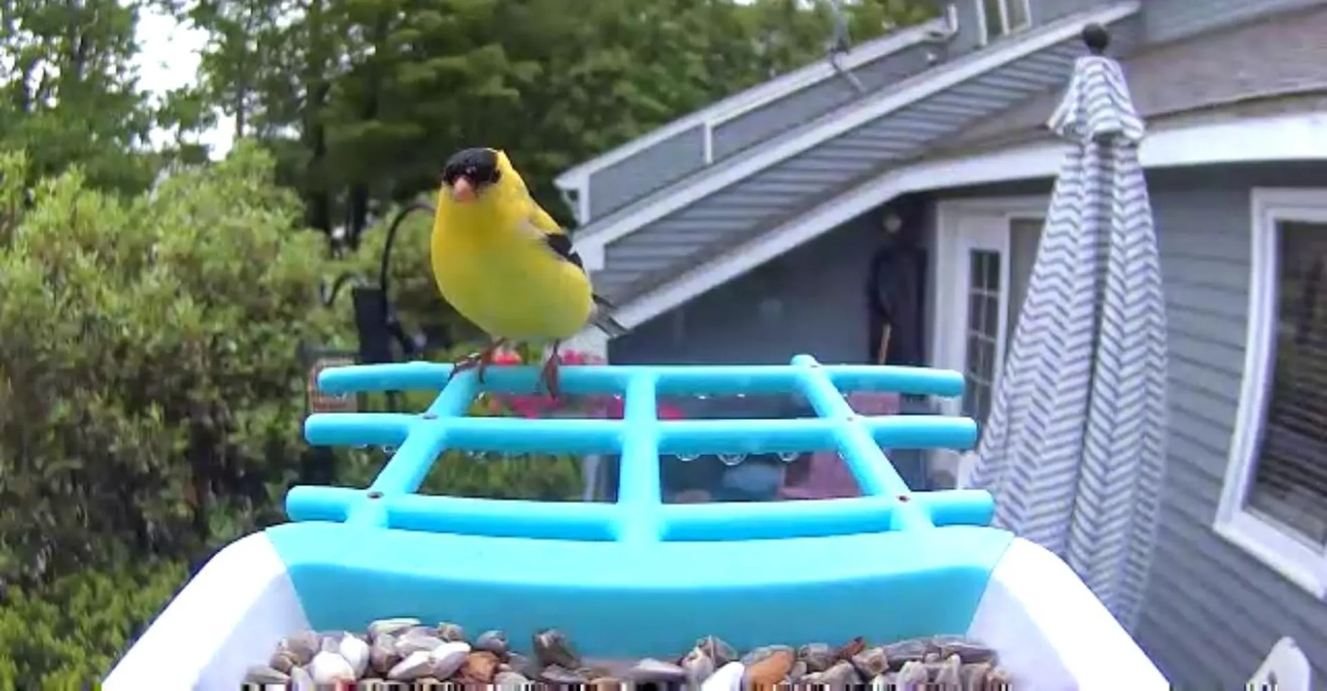 75 Stark Street Laconia NH 03246