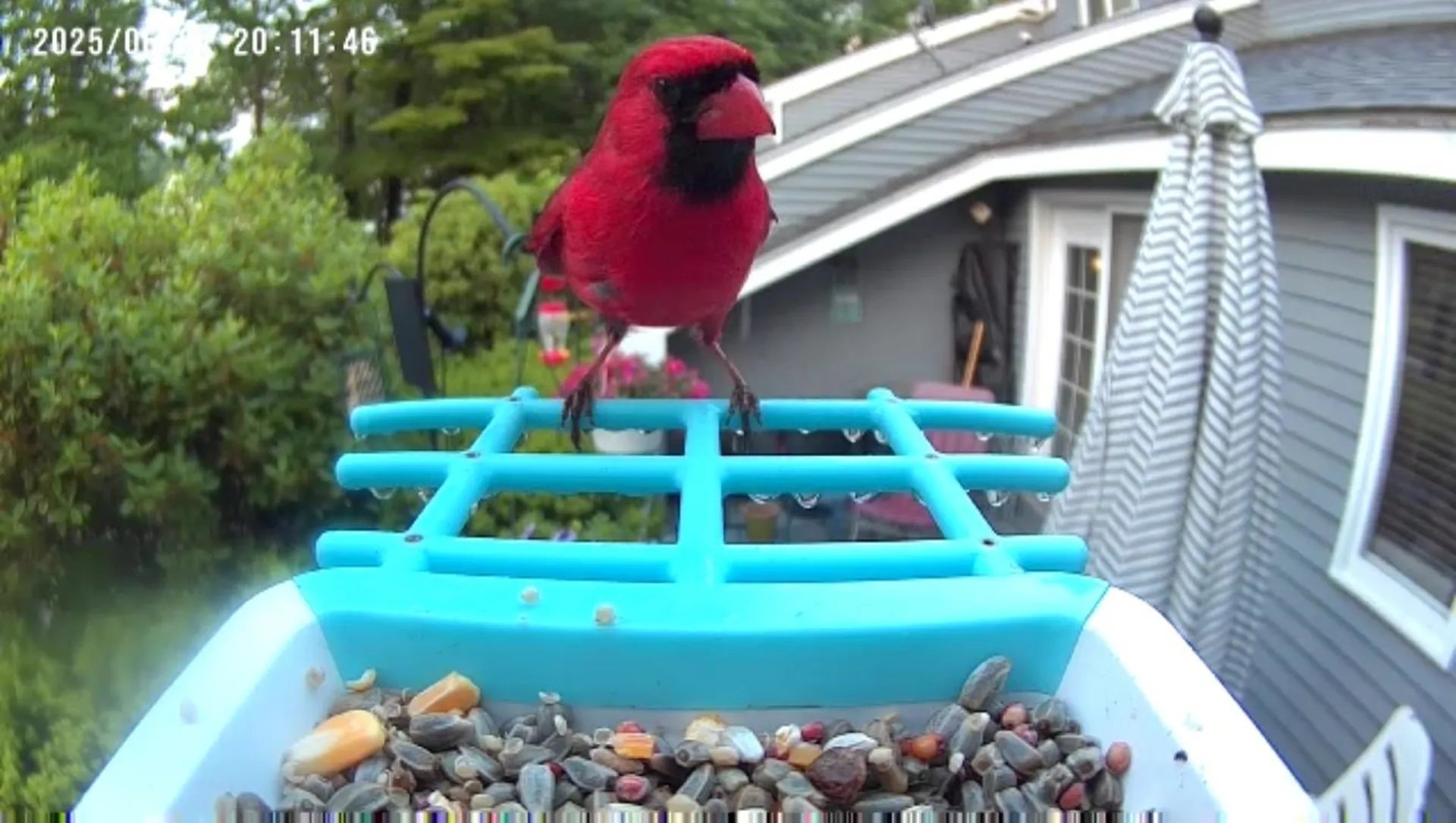 75 Stark Street Laconia NH 03246