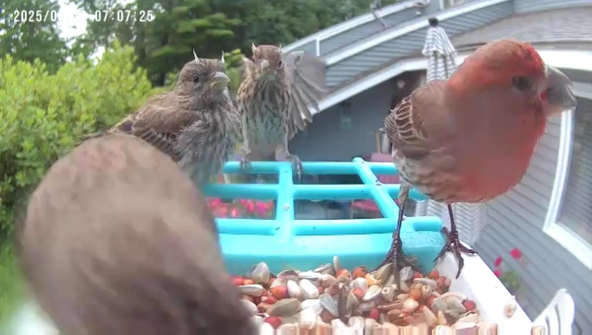 75 Stark Street Laconia NH 03246