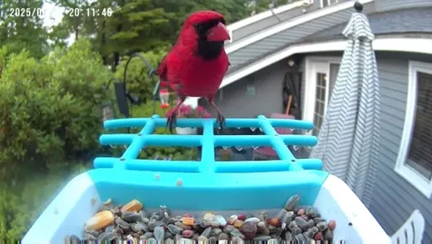 75 Stark Street Laconia NH 03246