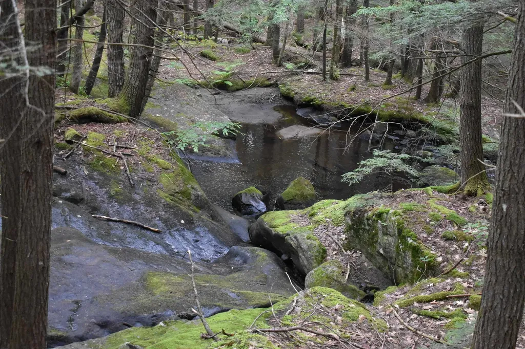 Saunders Hill Road Wentworth NH 03282