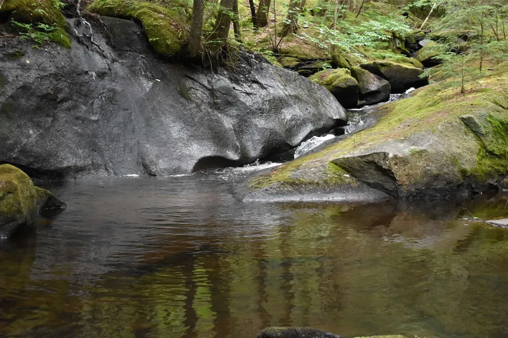 Saunders Hill Road Wentworth NH 03282