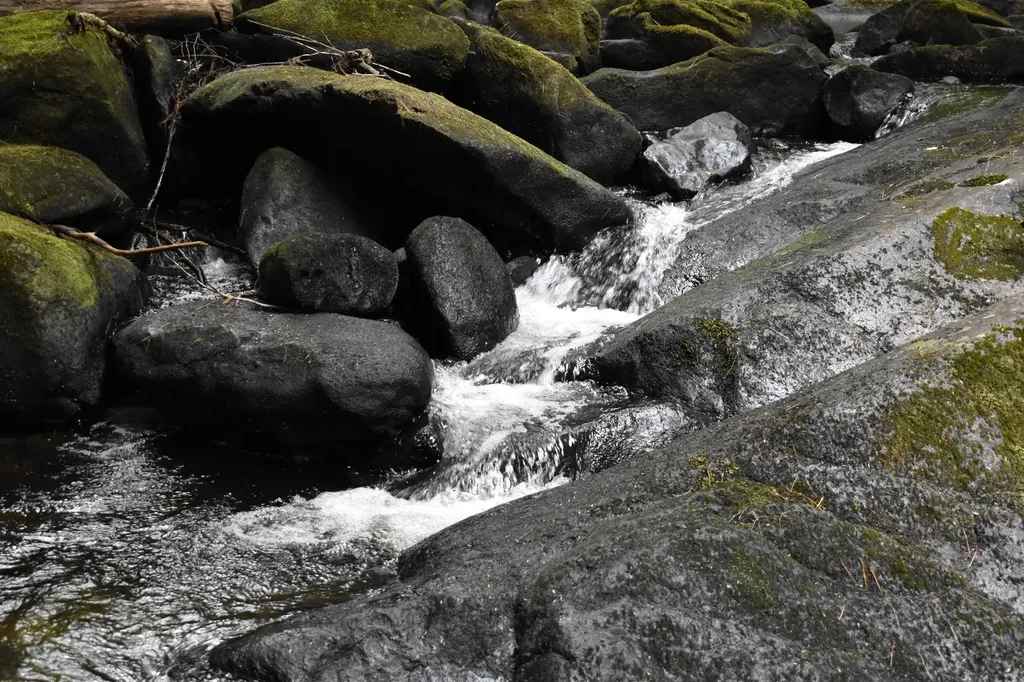 Saunders Hill Road Wentworth NH 03282