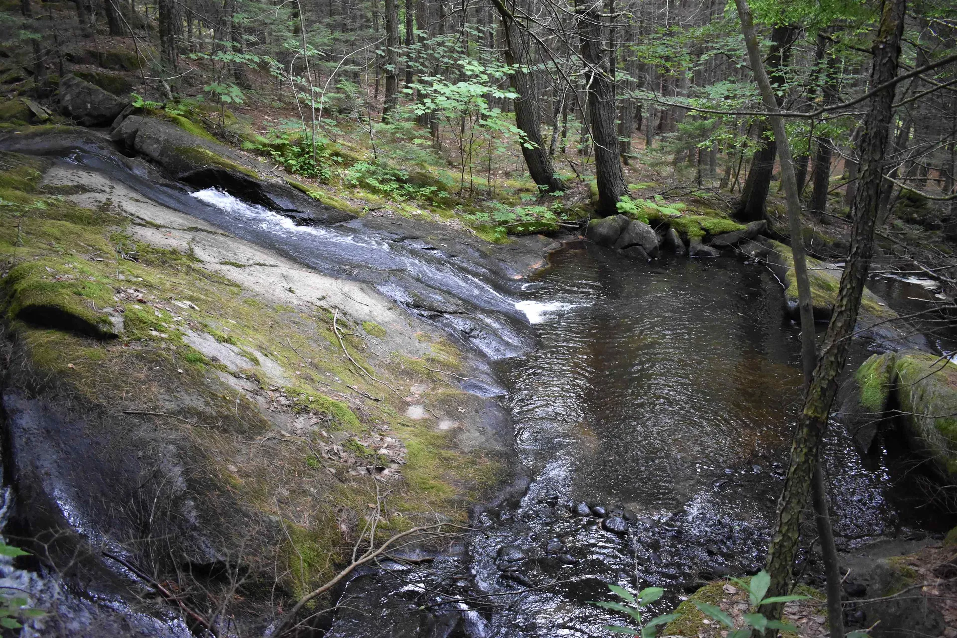 Saunders Hill Road Wentworth NH 03282
