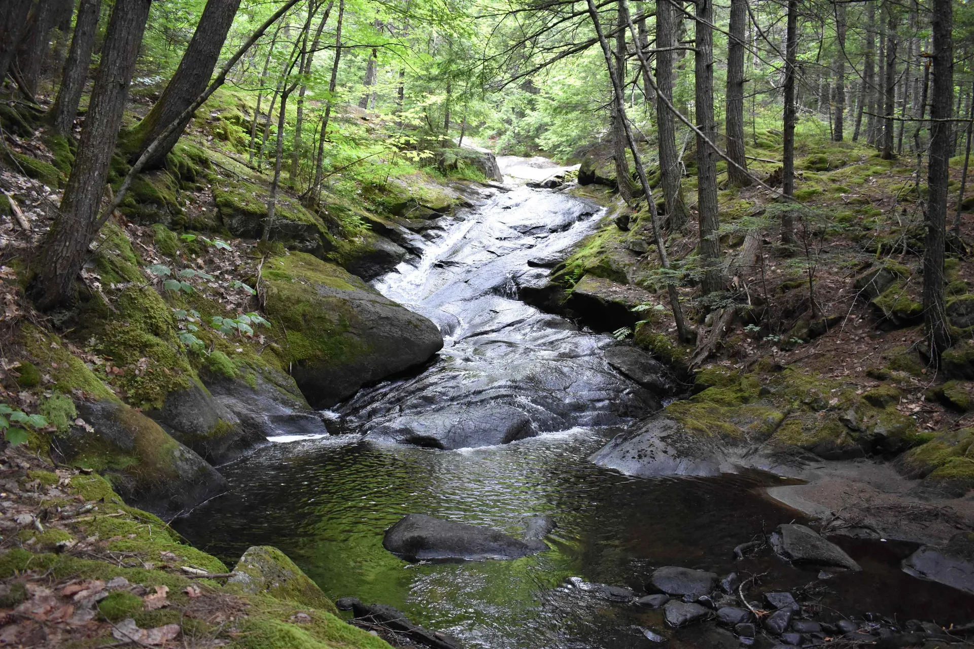 Saunders Hill Road Wentworth NH 03282