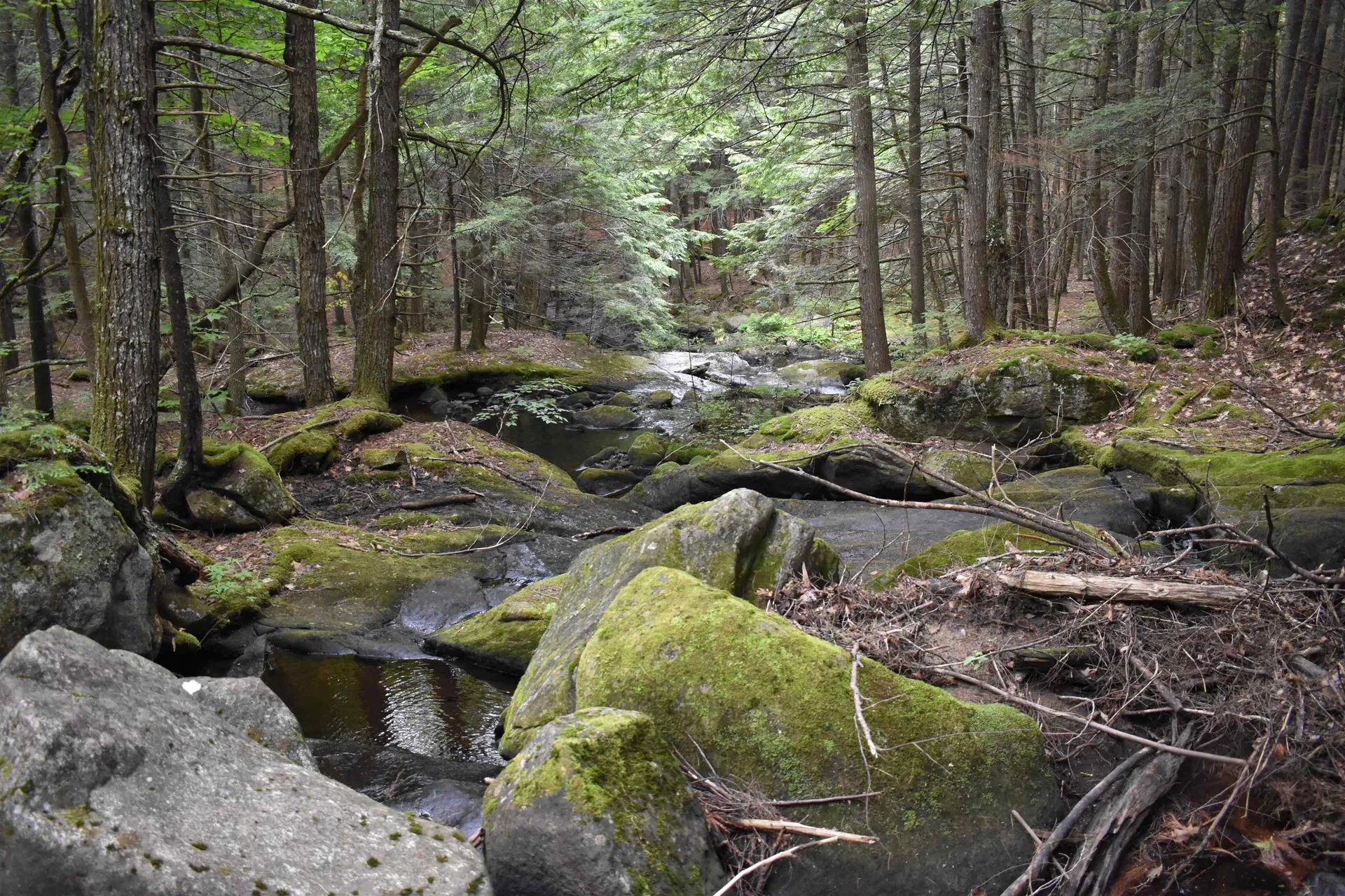Saunders Hill Road Wentworth NH 03282