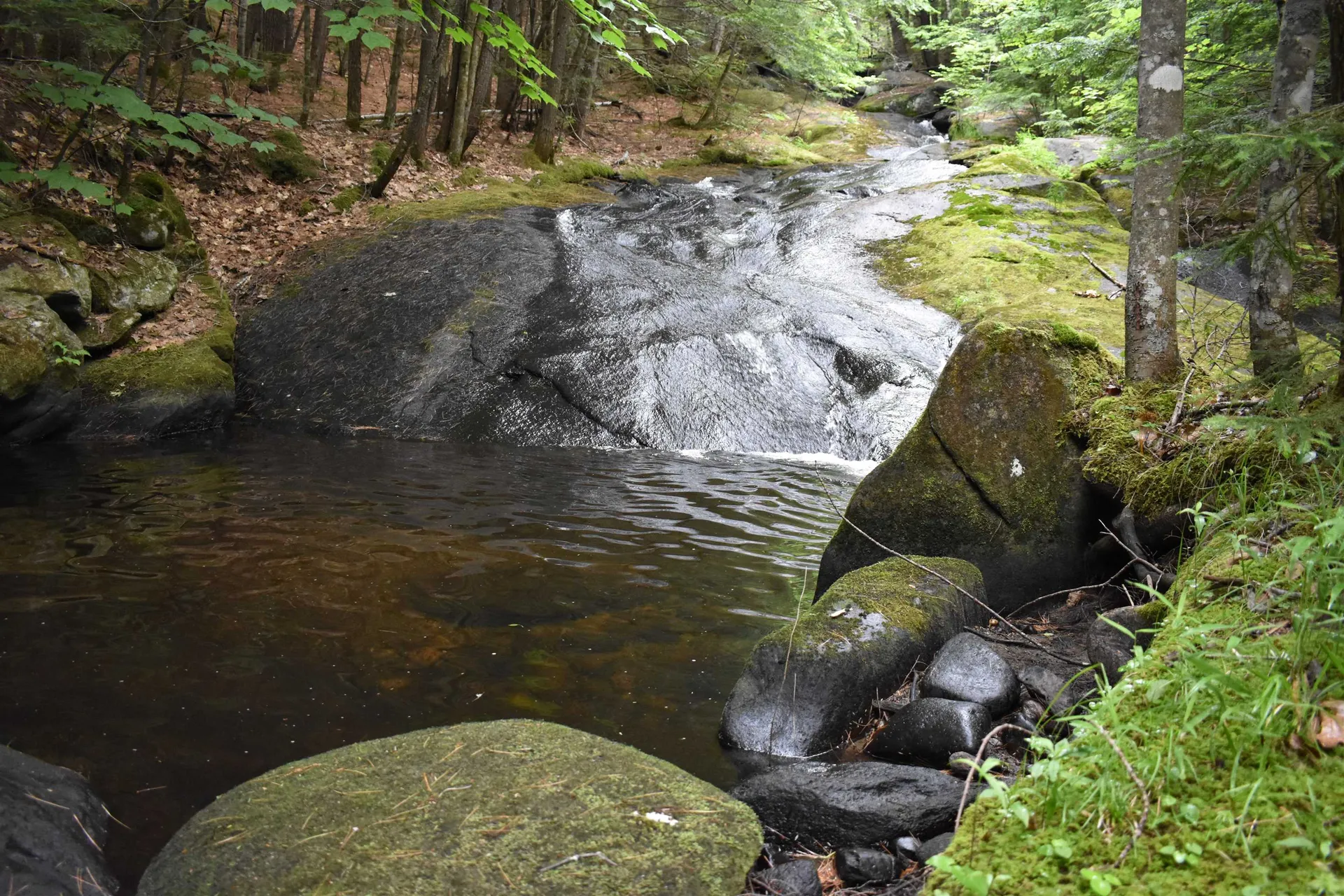 Saunders Hill Road Wentworth NH 03282