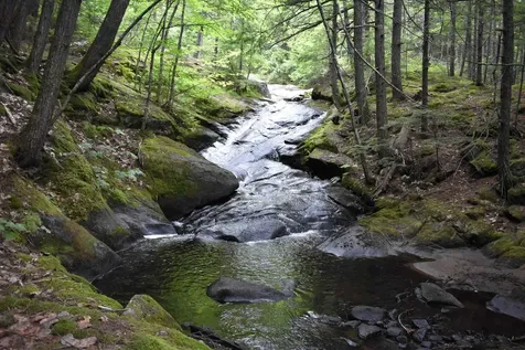 Saunders Hill Road Wentworth NH 03282