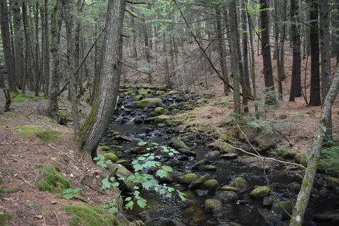 Saunders Hill Road Wentworth NH 03282