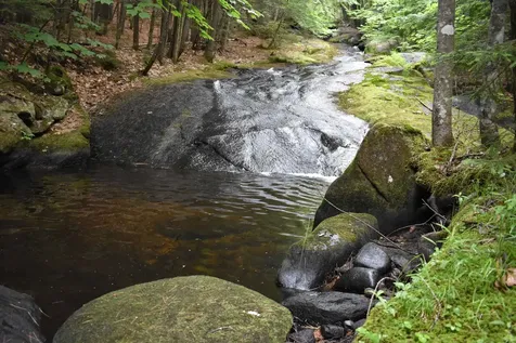 Saunders Hill Road Wentworth NH 03282