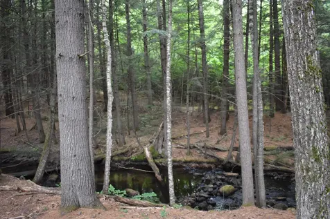 Saunders Hill Road Wentworth NH 03282