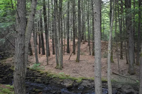 Saunders Hill Road Wentworth NH 03282