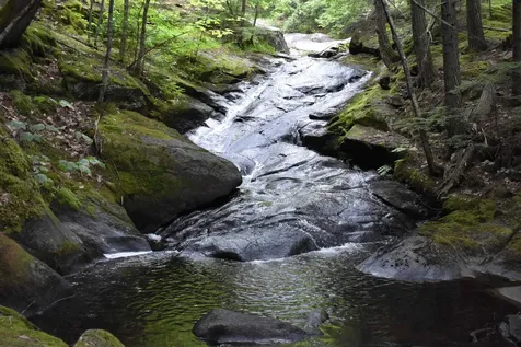 Saunders Hill Road Wentworth NH 03282