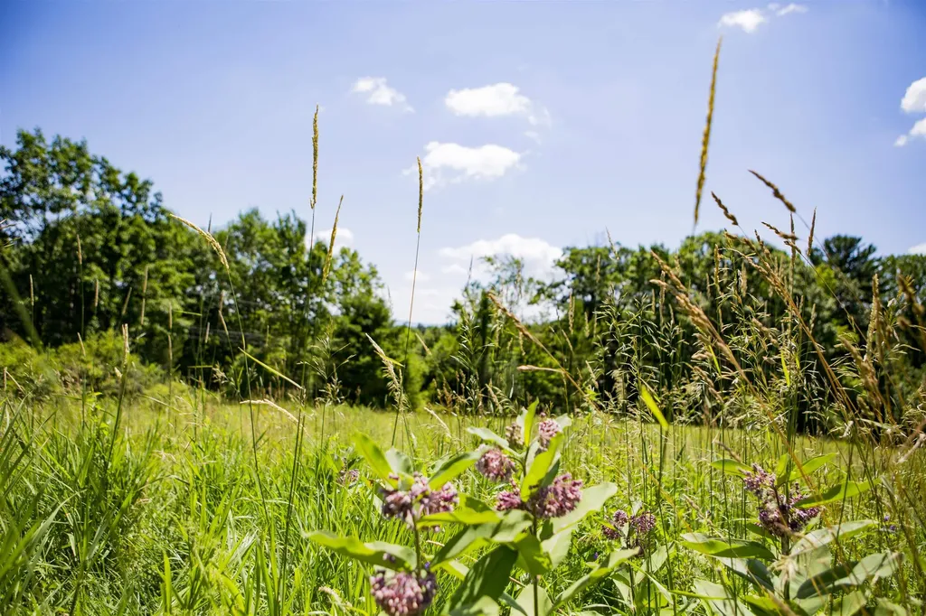 3702 Mount Philo Road Charlotte VT 05445