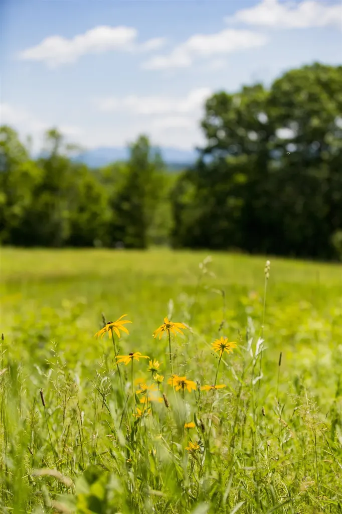 3702 Mount Philo Road Charlotte VT 05445