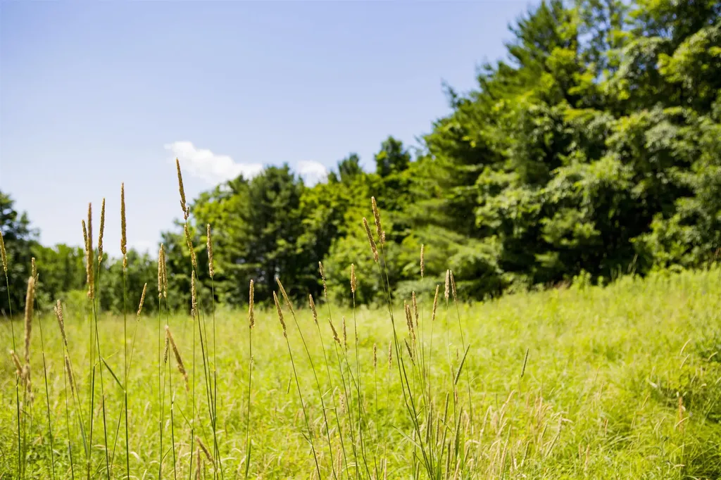 3702 Mount Philo Road Charlotte VT 05445