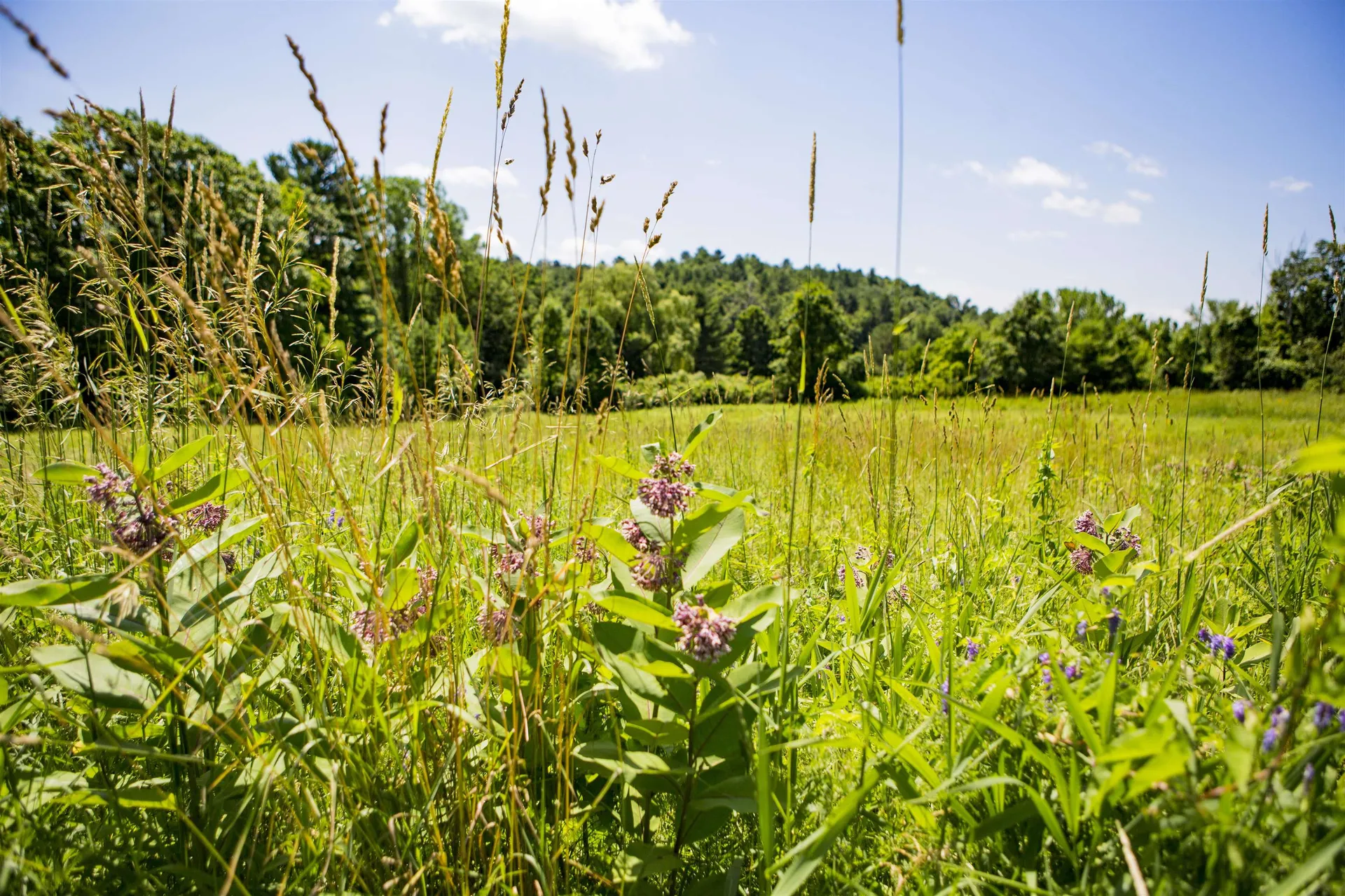 3702 Mount Philo Road Charlotte VT 05445