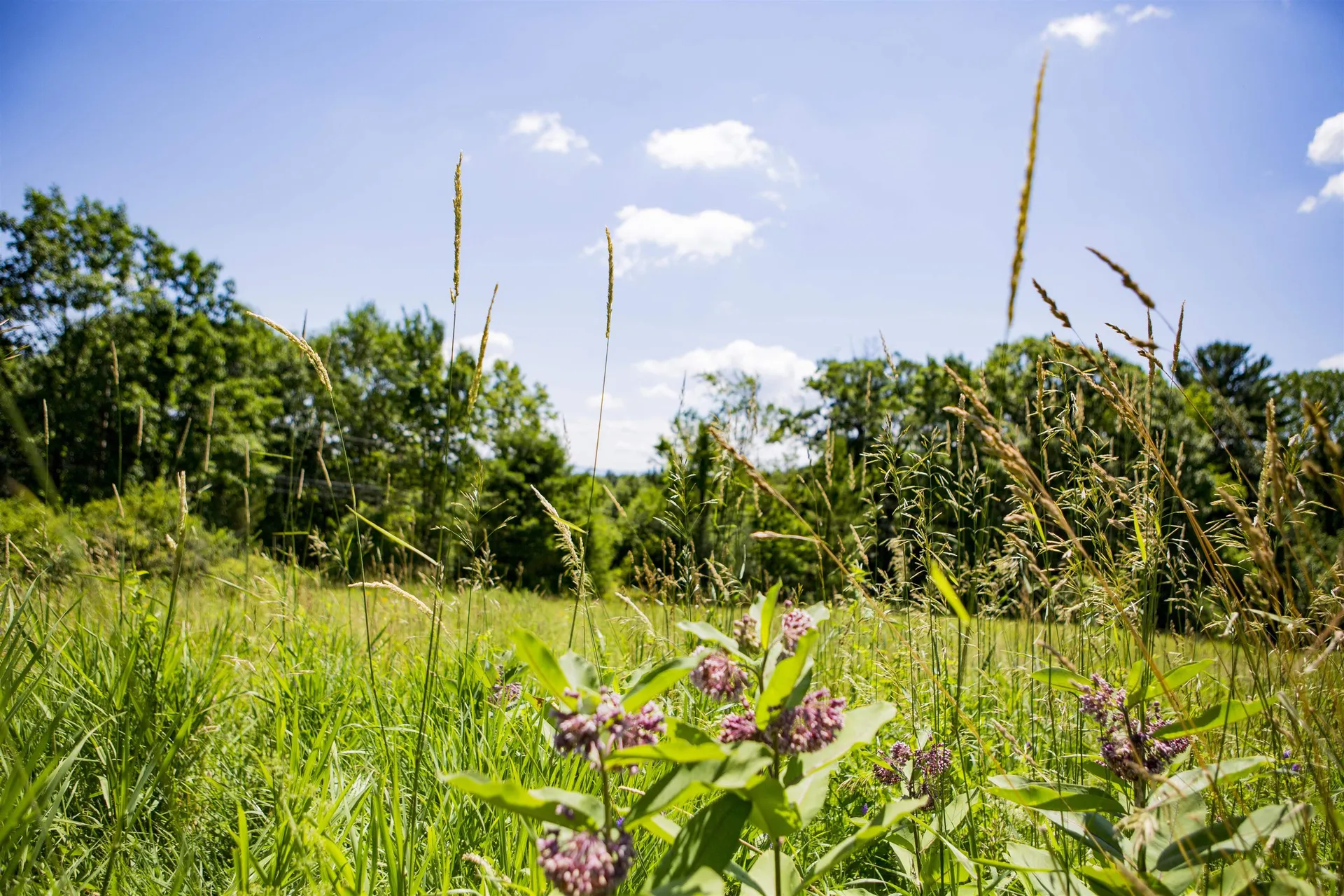 3702 Mount Philo Road Charlotte VT 05445