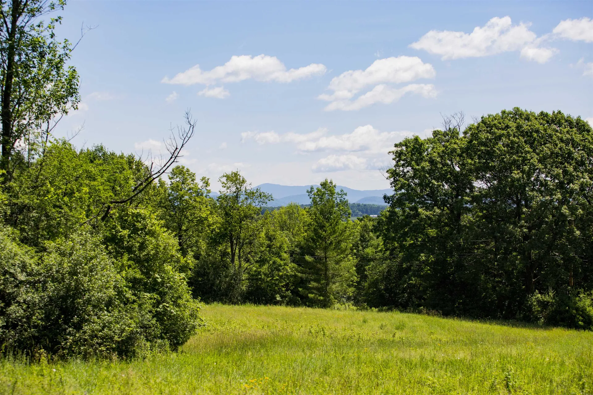 3702 Mount Philo Road Charlotte VT 05445