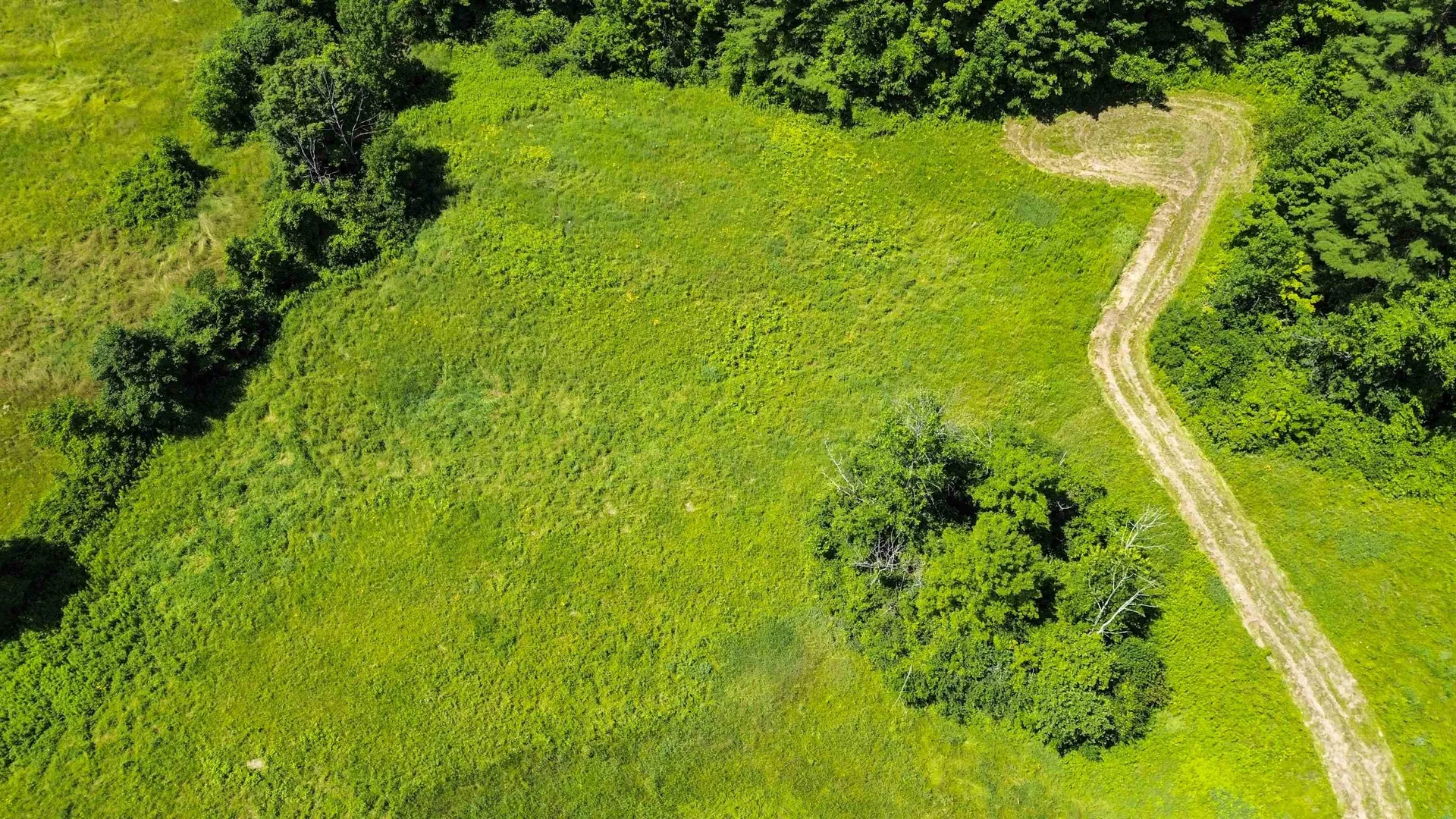 3702 Mount Philo Road Charlotte VT 05445