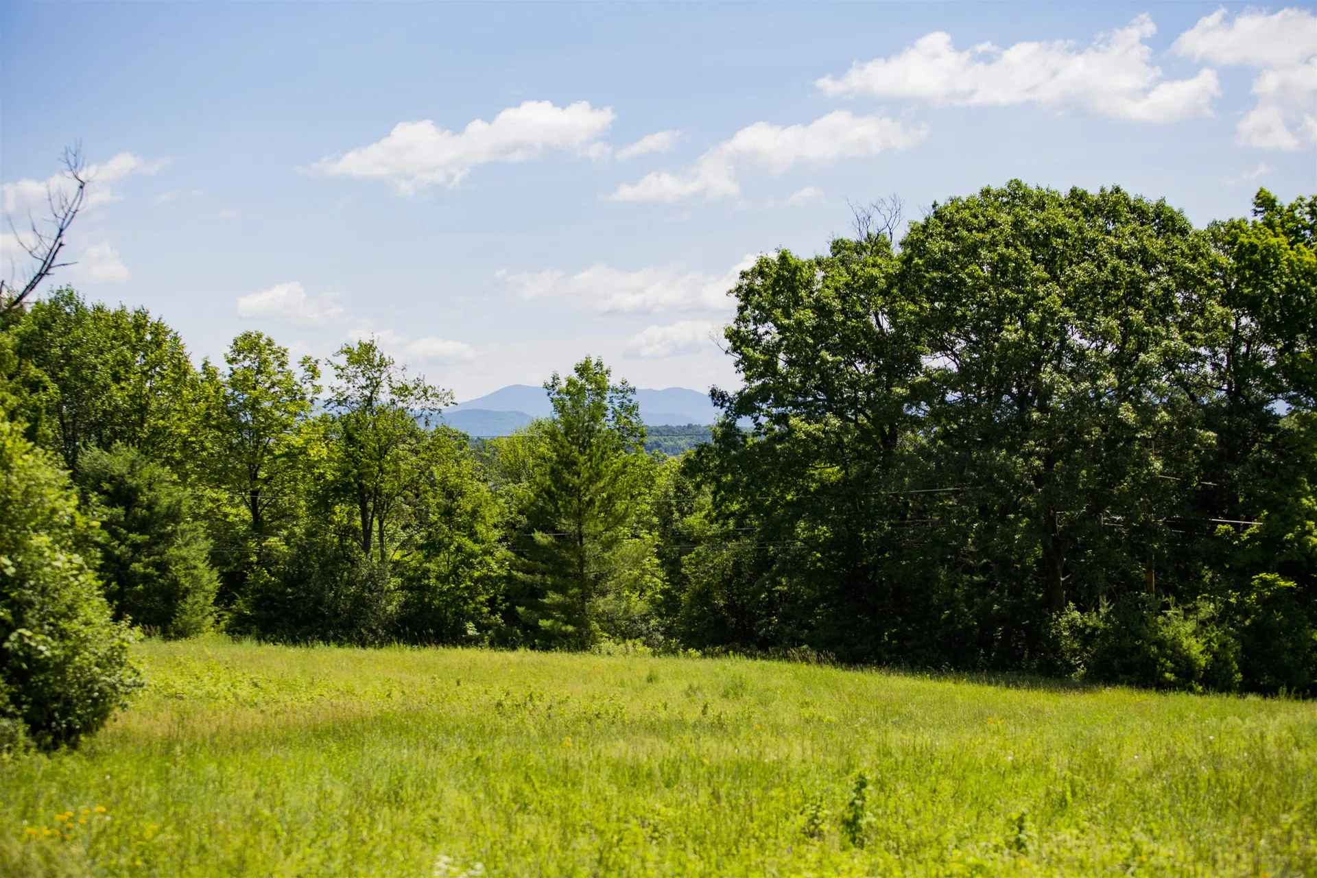 3702 Mount Philo Road Charlotte VT 05445