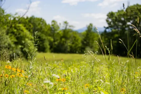 3702 Mount Philo Road Charlotte VT 05445