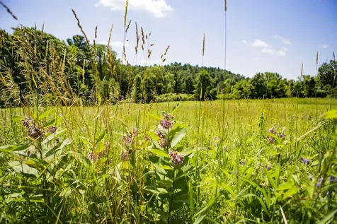 3702 Mount Philo Road Charlotte VT 05445