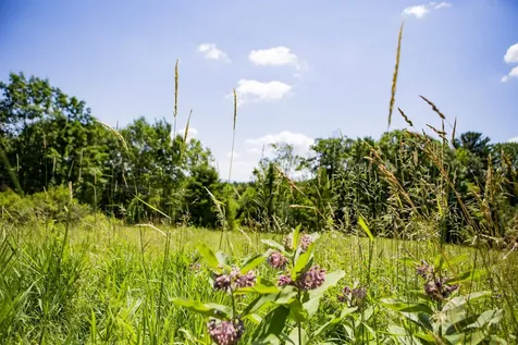 3702 Mount Philo Road Charlotte VT 05445