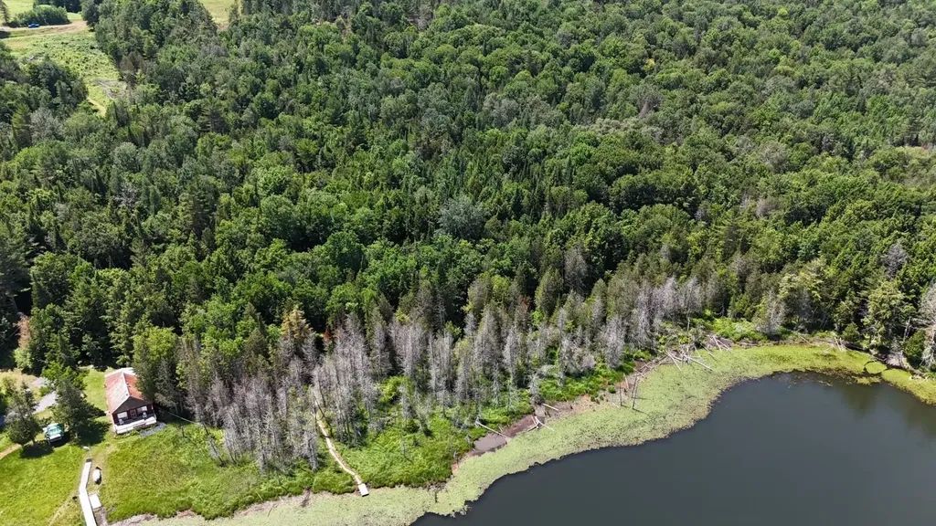 Tbd Stevens Road Barton VT 05822