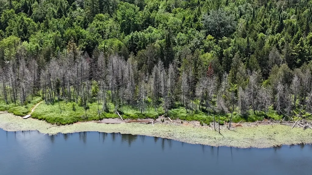 Tbd Stevens Road Barton VT 05822