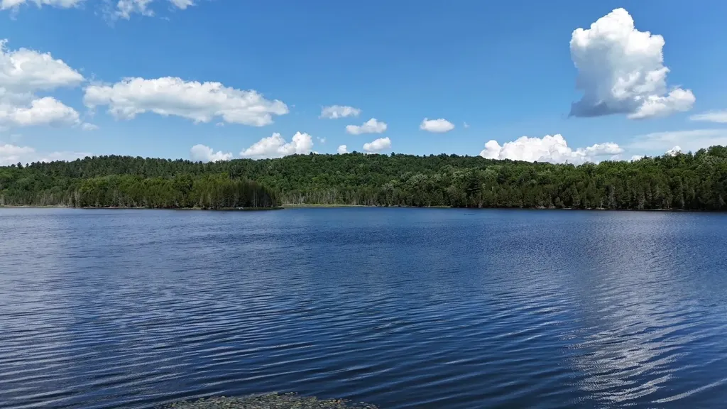 Tbd Stevens Road Barton VT 05822