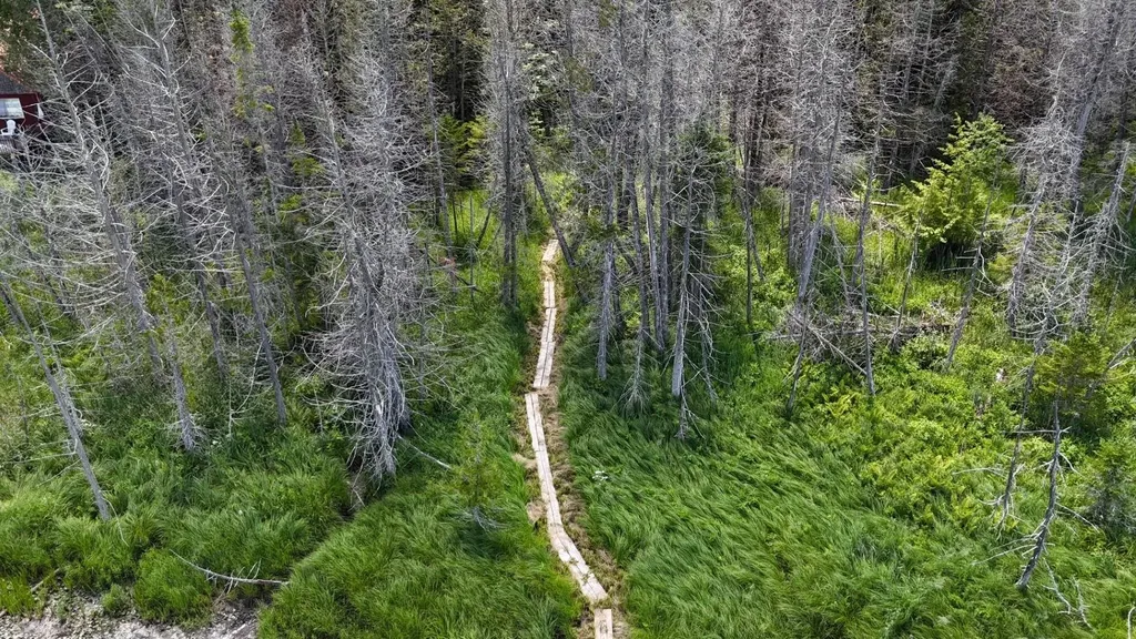 Tbd Stevens Road Barton VT 05822