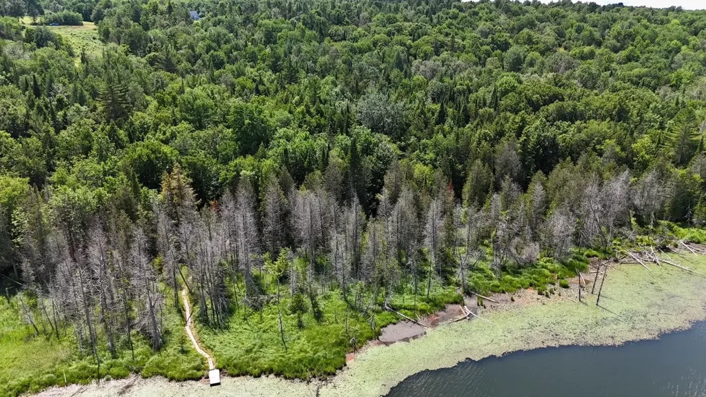 Tbd Stevens Road Barton VT 05822