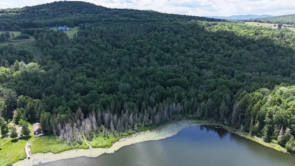 Tbd Stevens Road Barton VT 05822