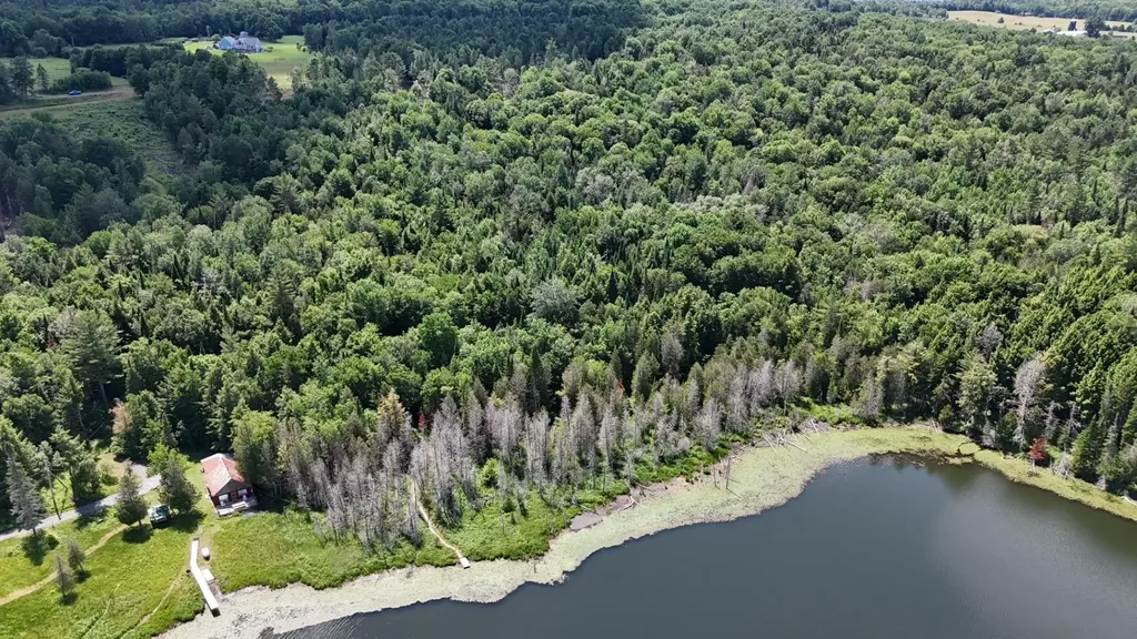 Tbd Stevens Road Barton VT 05822