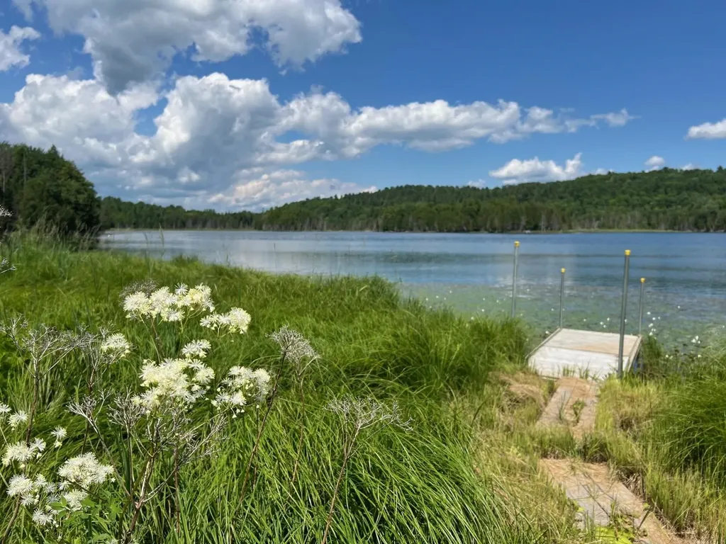 Tbd Stevens Road Barton VT 05822